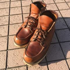 最終値下げ❗️RED WLNG アイリッシュセッターのサムネイル
