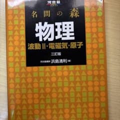 名問の森 物理 波動II・電磁気・原子のサムネイル