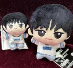 【新品 タグ付き】TWS ほわぬい ちびぐるみ ドフン DOHOON 2種セット