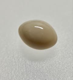 コンクパール　1.858ctのサムネイル