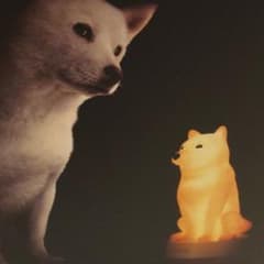 光るお父さん ライト ソフトバンクのサムネイル
