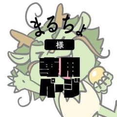 まるちょ様 専用ページ オリジナル プリント Tシャツ 作成のサムネイル