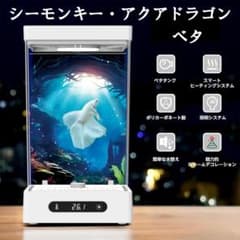 m56628826596_1.jpg?1769671667