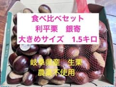 岐阜県産 生栗 1.5キロ 農薬不使用　利平栗と銀寄　大きめのサムネイル