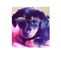 malala♪♪様専用！のサムネイル