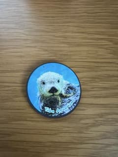 鳥羽水族館　ガチャガチャ　マグネットのサムネイル