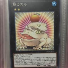 餅ガエルのサムネイル