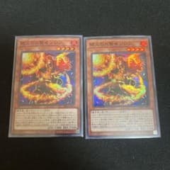 遊戯王 絶火の大賢者ゾロア 2枚セットのサムネイル