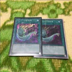 ハーピィの羽根箒のサムネイル