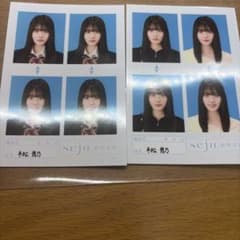 平松想乃 seju 証明写真のサムネイル