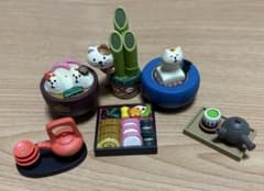 専用です！！のサムネイル