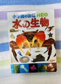 水の生物　小学館の図鑑　NEOのサムネイル