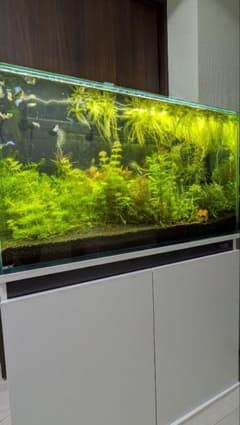 直接引取り限定 兵庫県加東市　90cmガラス水槽 照明 水槽台 セット 中古 引き取り限定・大阪】90cm水槽セット - メルカリ