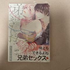 BL漫画 弟はたくさんだ！ ちしゃの実のサムネイル