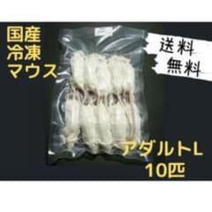 国産 冷凍マウスアダルト L 10匹 (送料無料一部地域発送不可) - メルカリ