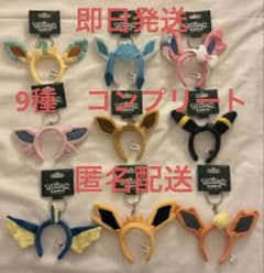即日発送】ポケパークカントー ブイズ カチューシャキーリング 9種