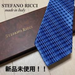 未使用 定価7.9万 ステファノリッチ ペイズリー プリーツタイ ネクタイ 新品未使用 STEFANO RICCI ステファノリッチ ネクタイ プリーツ