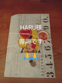 HARU様専用ですのサムネイル