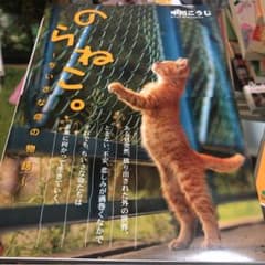 のらねこ。 : ちいさな命の物語のサムネイル