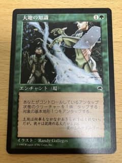 MTG 大地の知識 テンペスト 日本語 1枚 - メルカリ