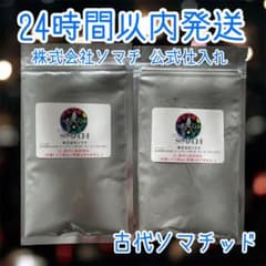 24時間以内発送】古代ソマチッド 粉タイプ 100g 粉ソマチ ソマチット