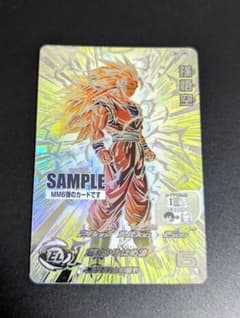 m56698862373_1.jpg?1733220086