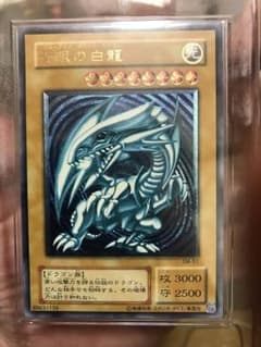 青眼の白龍レリーフ、シクのサムネイル