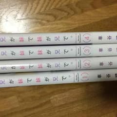 兄が妹で妹が兄で。のサムネイル