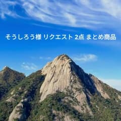 そうしろう様 リクエスト 2点 まとめ商品 - メルカリ