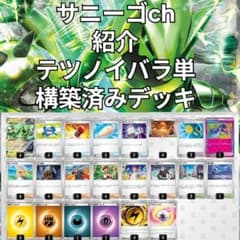 サニーゴch紹介 テツノイバラex 構築済みデッキ 60枚 サニーゴch紹介 テツノイバラex 構築済みデッキ 60枚 - メルカリ