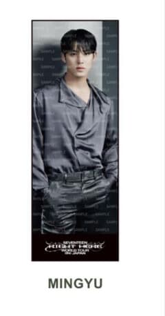 【極美品】SEVENTEEN セブチ ビッグフォトタオル　ミンギュのサムネイル
