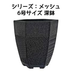 植木鉢 3Dプリンター鉢 6号 深鉢(やや深め) 塊根 多肉 玉サボテン 亀甲