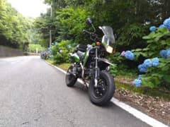 Kawasaki KSR110 グリーンのサムネイル