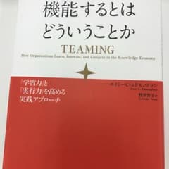 チームが機能するとはどういうことか 「学習力」と「実行力」を高める実践アプロー…のサムネイル