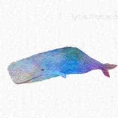 おさかなさん専用( ›◡ु‹ )のサムネイル