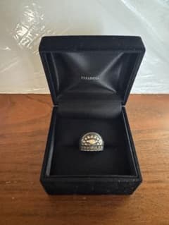 SUGARHILL BUG RING (SILVER)のサムネイル