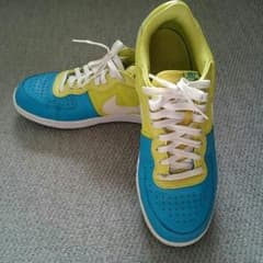 NIKE TERMINATOR LOWのサムネイル