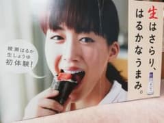 【非売品】最安値 綾瀬はるか　パネル　キッコーマン　販促のサムネイル