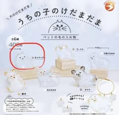 【ミニブックつき】　うちの子のけだまだま　ポメラニアンのサムネイル