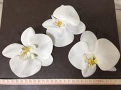 【ヘッドパーツ】 胡蝶蘭  3コセットのサムネイル