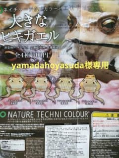 大きなヒキガエル黒2個セットのサムネイル