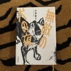 無敵の犬の夜 小泉綾子 河出書房新社のサムネイル
