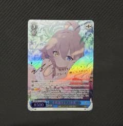 小鳥遊ホシノ(水着) SP WS サイン - メルカリ