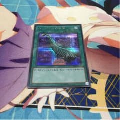 ハーピィの羽根帚 1枚のサムネイル