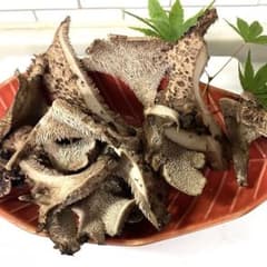 天然きのこ 香茸の一夜干し約104g - メルカリ