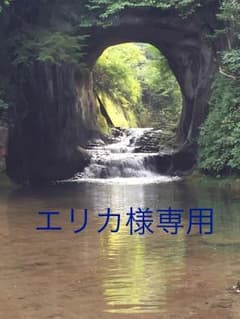 エリカ様専用のサムネイル