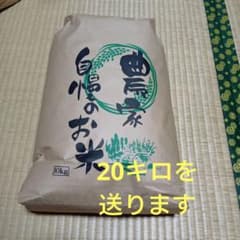 鳥取県産令和7年 きぬむすめ20キロ玄米 栽培期間中無農薬栽培 精米可