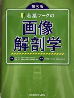 若葉マーク　画像解剖学のサムネイル