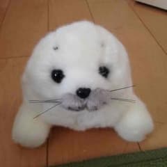 海遊館アザラシ ぬいぐるみのサムネイル