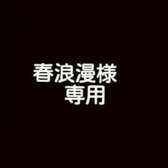 大きいサイズトレーナーのサムネイル